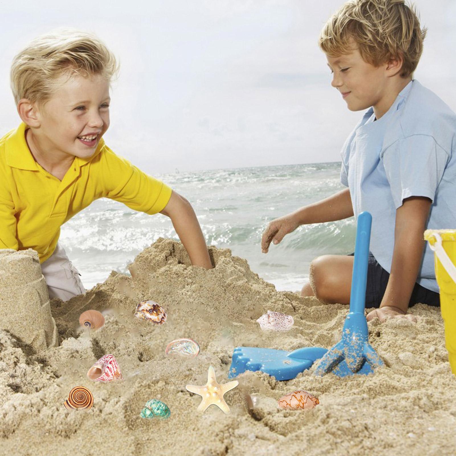 2025 Seashells Advent Calendar - Kids Toys Christmas 2025 ulasan dan harga