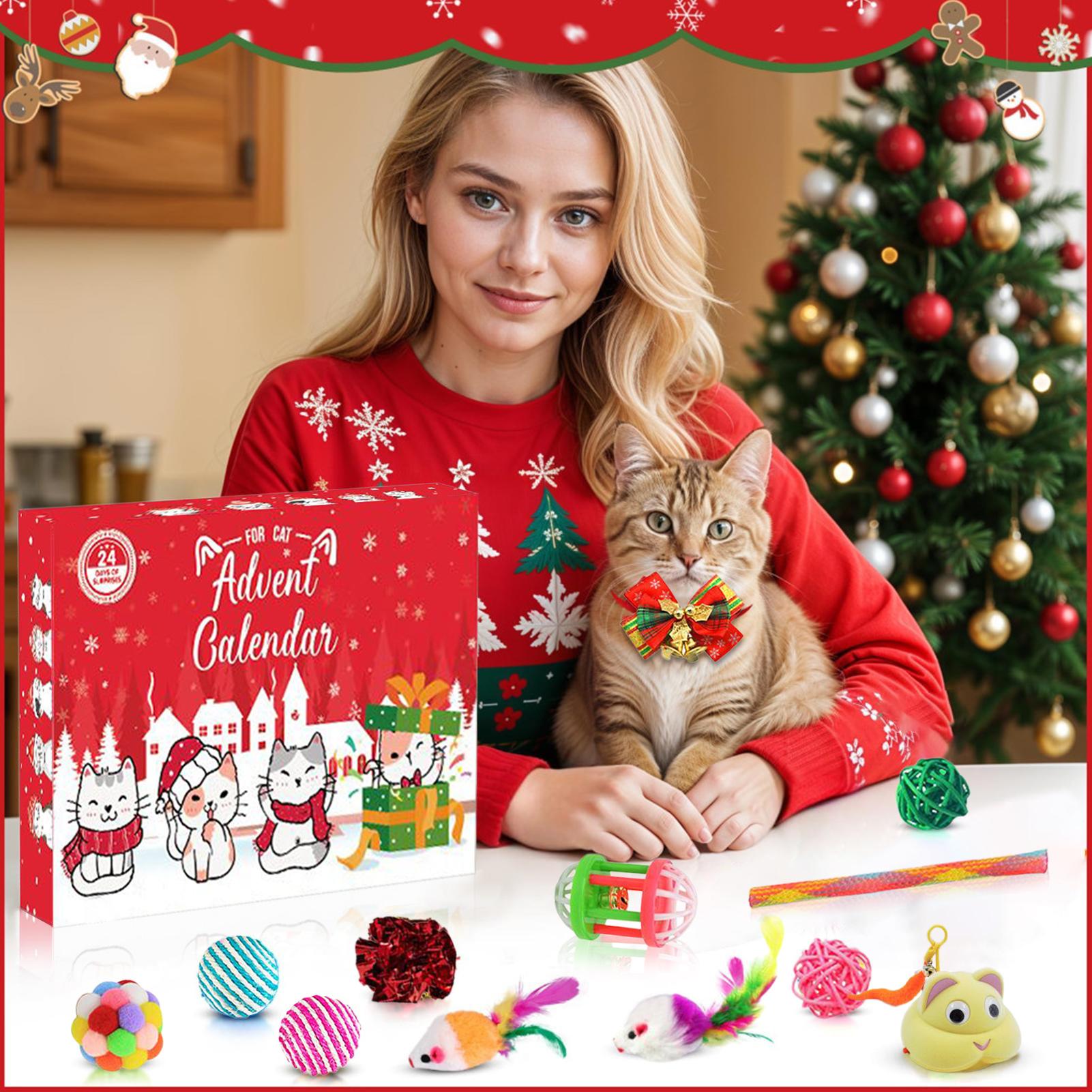 Pet Cat Toy Calendar 2025 24 D - Kids Toys Xmas 2025 ulasan dan harga