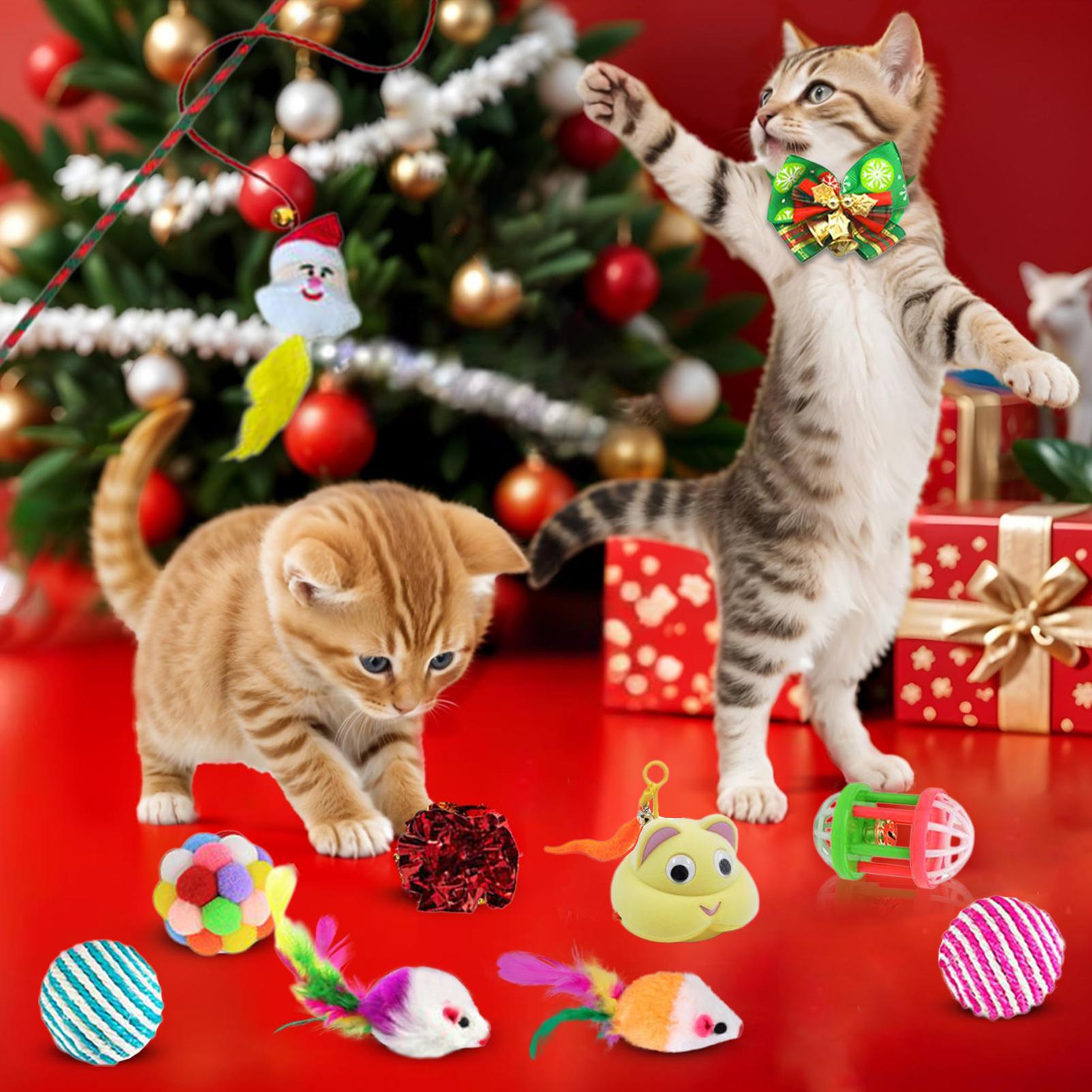 Pet Cat Toy Calendar 2025 24 D - Kids Toys Xmas 2025 ulasan dan harga